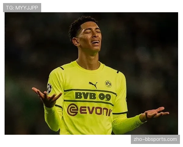 多特蒙德赛季总结 锁定前四完成基本目标